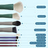EIGSHOW Beauty Face 5-COLOR SERIES - 9 PCS MAKEUP BRUSH KIT WITH A POUCH